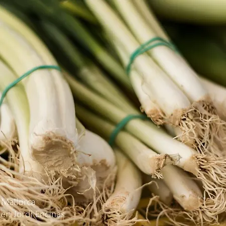 بيت للعطل Townhouse Calvari By Homevillas360 بويينسا