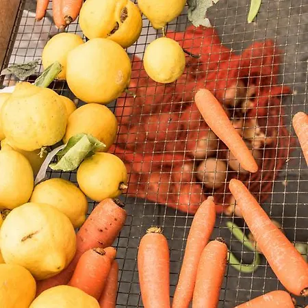 펜션 Townhouse Calvari By Homevillas360 *