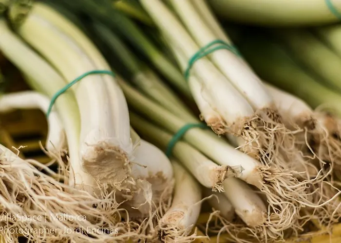 Hébergement de vacances Townhouse Calvari By Homevillas360 Pollença