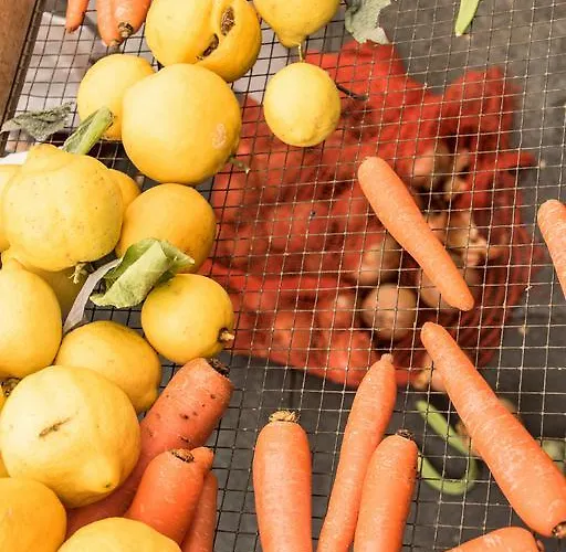 Prázdninový dům Townhouse Calvari By Homevillas360 *